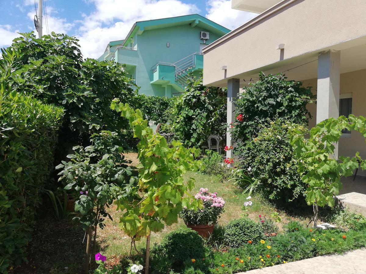 Apartmani Beljkas ติวัต ภายนอก รูปภาพ